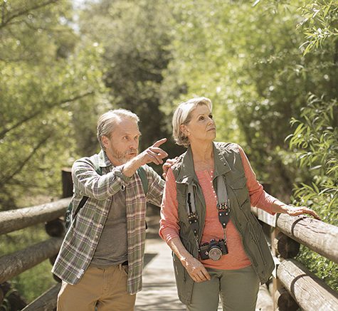 A man and a woman on a wooden bridge pointing at the scenery