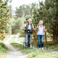 Happy senior couple hiking with trekking sticks and backpacks at the young pine forest. Enjoying nature, having a good time on their retirement