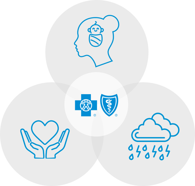 Pregnancy icons: hands holding heart, baby brain, and clouds with rain with Blue Cross Blue Shield in the middle